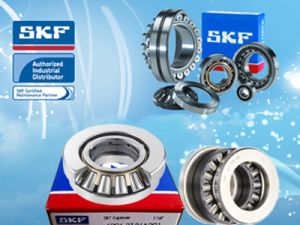 Vòng bi bạc đạn SKF